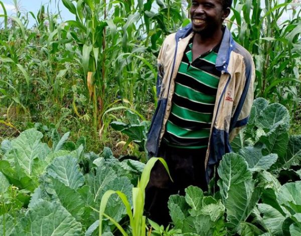 Ouganda jardin potager