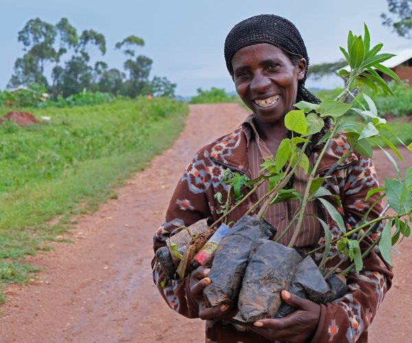 Ouganda jardin potager2